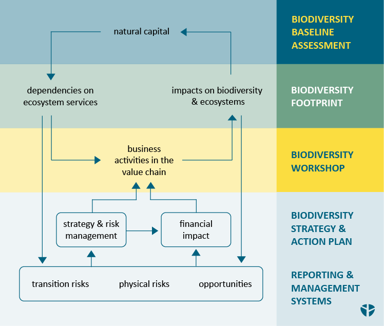 denkstatt offers support in biodiversity strategies for businesses